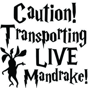Baby Decal - Caution! Transporting Live Mandrake!