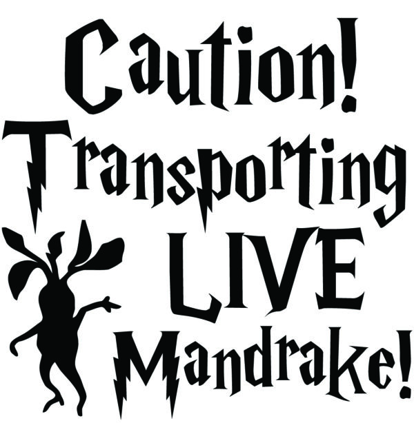 Baby Decal - Caution! Transporting Live Mandrake!