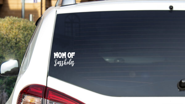 Baby Decal - Mom Of Sassholes