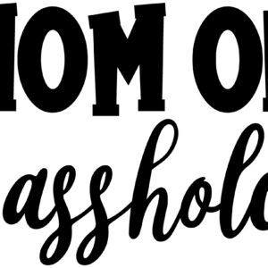 Baby Decal - Mom Of Sassholes