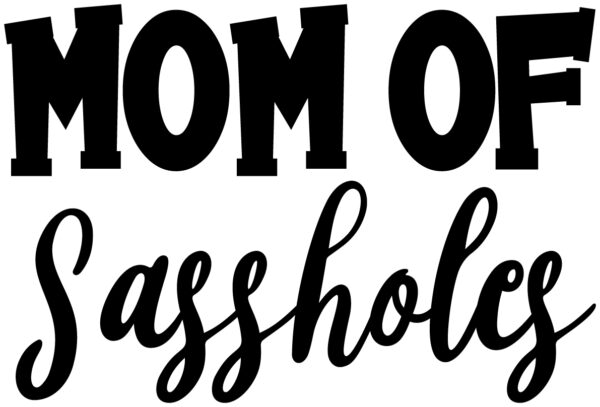 Baby Decal - Mom Of Sassholes