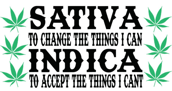 Cannabis Decal - Sativa/Indica