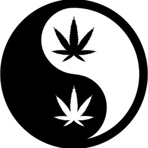 Cannabis Decal - Marijuana Ying Yang