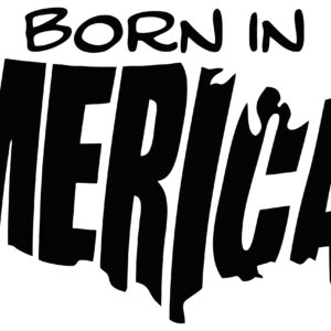 Military Decal - Born In America