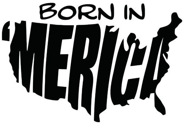 Military Decal - Born In America