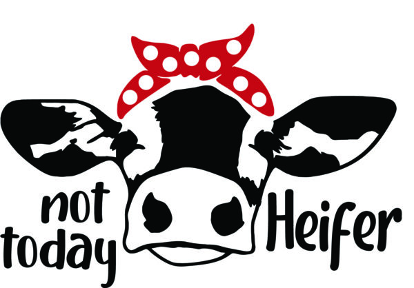 Misc Decal - Not Today Heifer