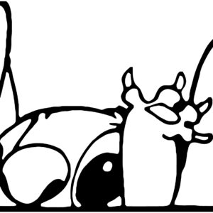 Misc Decal - Disney Peeking Stitch