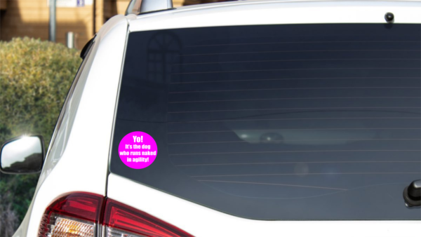 Agility Decal - Yo! It's The Dog Who Runs Naked In Agility