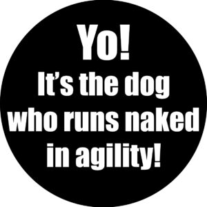Agility Decal - Yo! It's The Dog Who Runs Naked In Agility