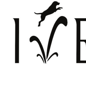 Dock Jumping Decal - Dive
