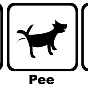 Dock Jumping Decal - Eat Pee Jump