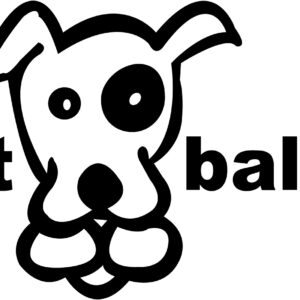 Flyball Decal - Got Balls?