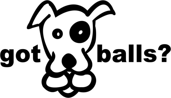 Flyball Decal - Got Balls?