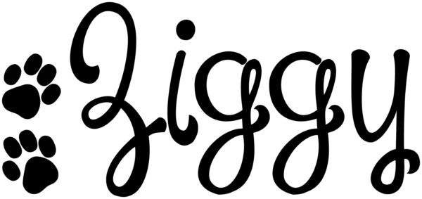 Misc Decal - Personalized Pet Name