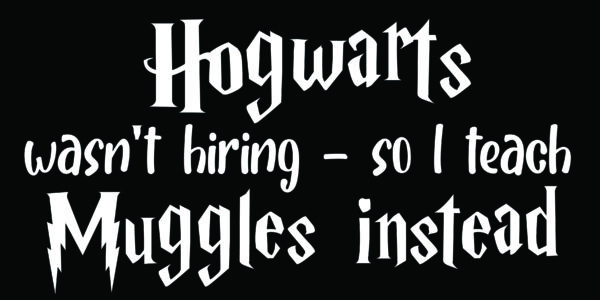 Hogwarts Wasn't Hiring - So I Teach Muggles Instead MDF Hanging Sign - Image 2