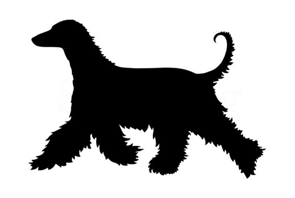 Breed Decal - Silhouette Afghan Hound