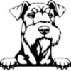 Breed Decal - Peeking Airedale