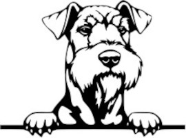 Breed Decal - Peeking Airedale