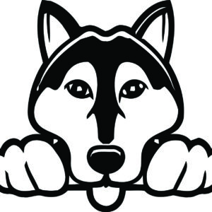 Breed Decal - Peeking American Eskimo