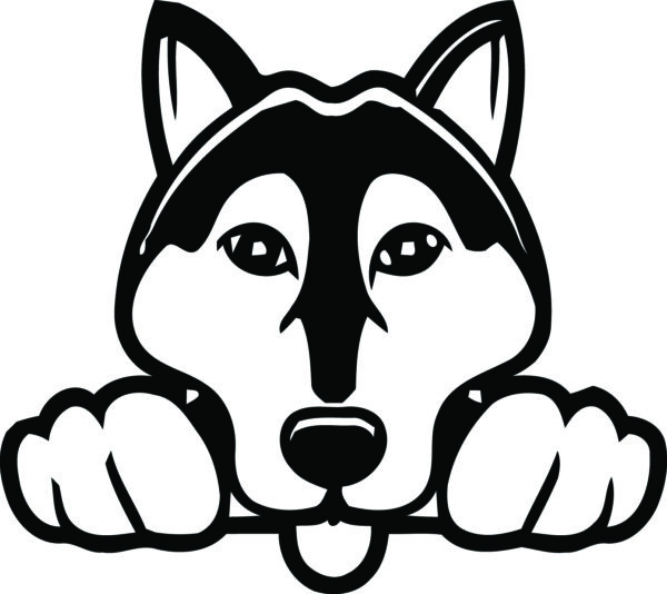 Breed Decal - Peeking American Eskimo
