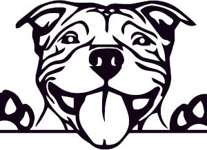 Breed Decal - Peeking American Staffordshire Terrier