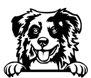 Breed Decal - Peeking Australian Shepherd