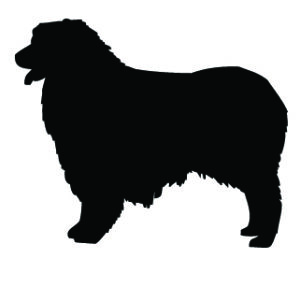 Breed Decal - Silhouette Australian Shepherd