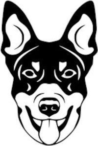 Breed Decal - Peeking Australian Kelpie
