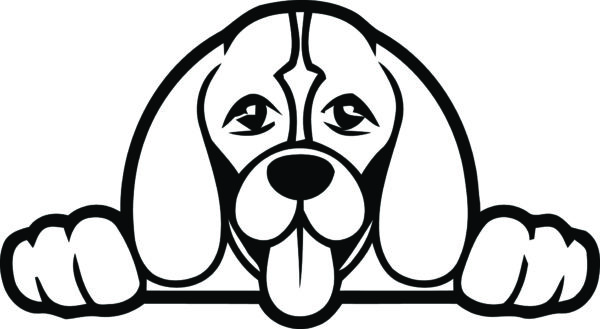 Breed Decal - Peeking Beagle