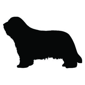 Breed Decal - Silhouette Bearded Collie