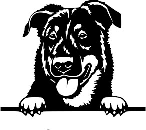 Breed Decal - Peeking Beauceron