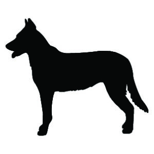 Breed Decal - Silhouette Beauceron