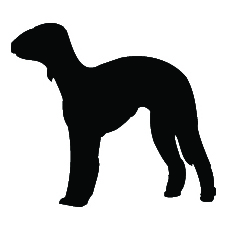 Breed Decal - Silhouette Bedlington Terrier