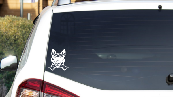 Breed Decal - Peeking Belgian Malinois