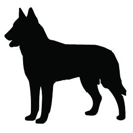 Breed Decal - Silhouette Belgian Malinois