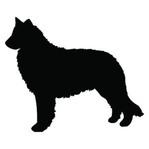 Breed Decal - Silhouette Belgian Sheepdog