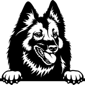 Breed Decal - Peeking Belgian Tervuren