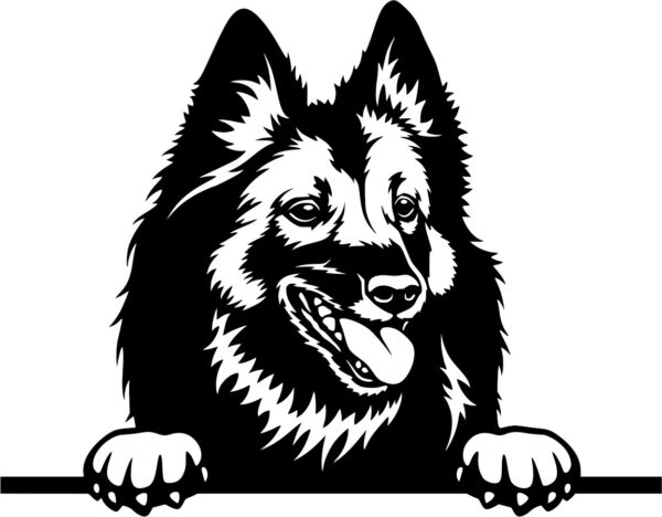 Breed Decal - Peeking Belgian Tervuren