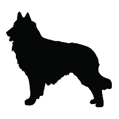 Breed Decal - Silhouette Belgian Tervuren