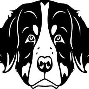 Breed Decal - Peeking Bernese Mountain Dog