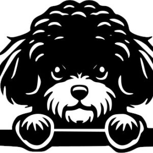 Breed Decal - Peeking Bichon