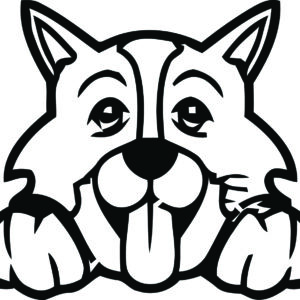 Breed Decal - Peeking Border Collie