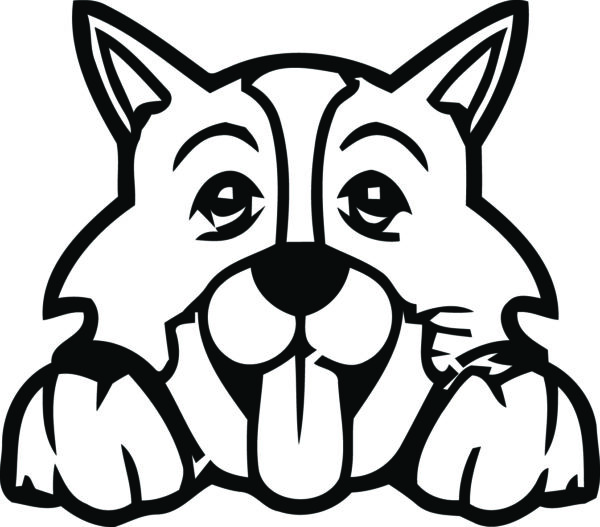 Breed Decal - Peeking Border Collie