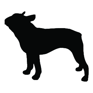 Breed Decal - Silhouette Boston Terrier