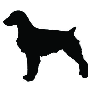 Breed Decal - Silhouette Brittany Spaniel