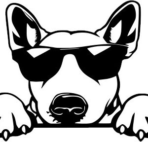 Breed Decal - Peeking Bull Terrier
