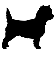 Breed Decal - Silhouette Cairn Terrier