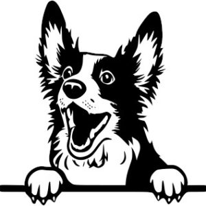 Breed Decal - Peeking Carolina Dog