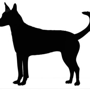 Breed Decal - Silhouette Carolina Dog