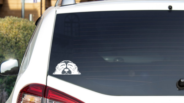Breed Decal - Peeking Cavalier King Charles Spaniel